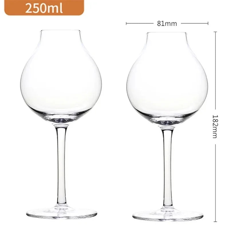 2PCS Professional Glasses